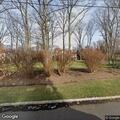 Large tree and wires blocking roadway in Tenafly