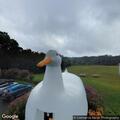 Child with hand injury at Big Duck location in Flanders