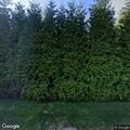 Babysitter call near Lower (number withheld) Ponds Road