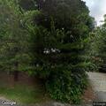 Burglar alarm reported at Westminster Road home