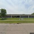 Loose dogs at Grand Island Public Library