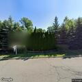 Loose dog reported on Truman Drive