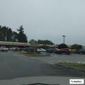 Dog locked in vehicle at McKinleyville Safeway