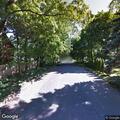 Tree blocking roadway on Red Barn Lane