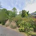 Tree limb on house electrical service in Rye