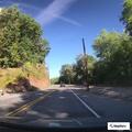 Tree down causes power outage on Elysburg Road