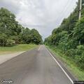 Injured deer in roadway after car collision