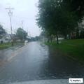 Traffic stop for driver with suspended license