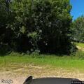 Injured deer reported in ditch along County Highway 35