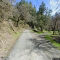 Tree blocking roadway near Lento Campground