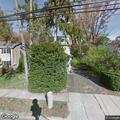 Tree leaning on wires on Prospect Street