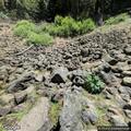 Traffic collision near McArthur-Burney Falls store