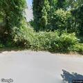 Report of dead raccoon in street on Overlook Drive
