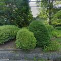 Residential carbon monoxide alarm on Greenacres Ave