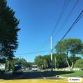Elderly woman reported sick near Main Road and Harbor Lane