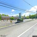 Deer blocking roadway near Woodport Road in Sparta
