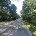 Loose dog in roadway near Indian Neck Lane