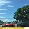Adult female dizzy with possible seizure at motel