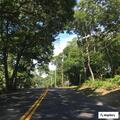 Robbery reported on West Neck Road area