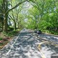 Police search for erratic driver on Route 9