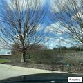 Person experiencing chest pain at White Pond Drive