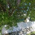 Resident locked out of apartment needs assistance