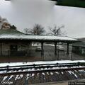 Female patient suffering from withdrawal at train station
