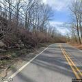 Debris cleared after fallen trees on East Shore Road