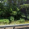 Medical alert near Glen Hill Road in Redding