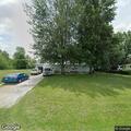 Loose friendly husky in residential yard