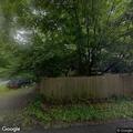 Complaint over trees being cut down at business