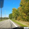 Tree down on power lines near roadway
