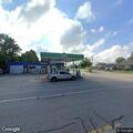 Loose pot-bellied pig in roadway near gas station