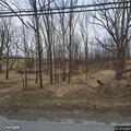 Tree hanging over roadway on Wheeler Road