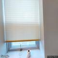 Landlord and tenant dispute over unpaid rent