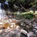 Disabled vehicle on hill at Ricketts Glen park