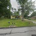 Loose dogs and disturbance on Chestnut Avenue