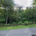Bear roaming in wooded area near park