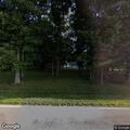 Loose dogs wandering in yard and roadway