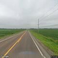 Loose calf reported on roadway near mile marker 102