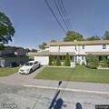 Loose friendly dogs reported on Driftwood Circle