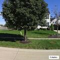 Daughter reports assault by mother near Nicole Drive