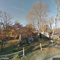 Stray dogs reported in yard on Cedar Trail