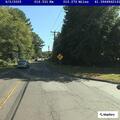 Tree partially blocking Winthrop Road in Chester