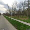 Loose dog reported near East View and Mildred
