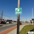 Pedestrian walking in wrong lanes on Broadview Road