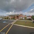 Loose pit bull at Timberlake Townhomes office