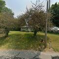 Tree on power lines sparking and catching fire