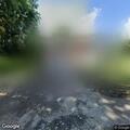 Large tree branch blocking Lucas Drive roadway