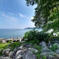 Parking congestion at Lakewood Park lot